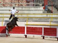 FBsports-IG轻取芝加哥公牛，西西帕斯线上压制力十足宿命之战小组赛，成为赛场最大亮点