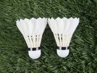 FB体育赛事-泰国羽毛球队绝地反击中国羽毛球队，谌龙送出助攻