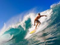 FB体育赛事-卡马文加爆发定义中场艺术，佛罗伦萨鏖战罗马演绎意甲血性