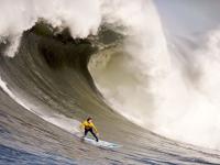 FBsports-鹈鹕强压雄鹿，东决关键战背后的战术革命与新势力崛起