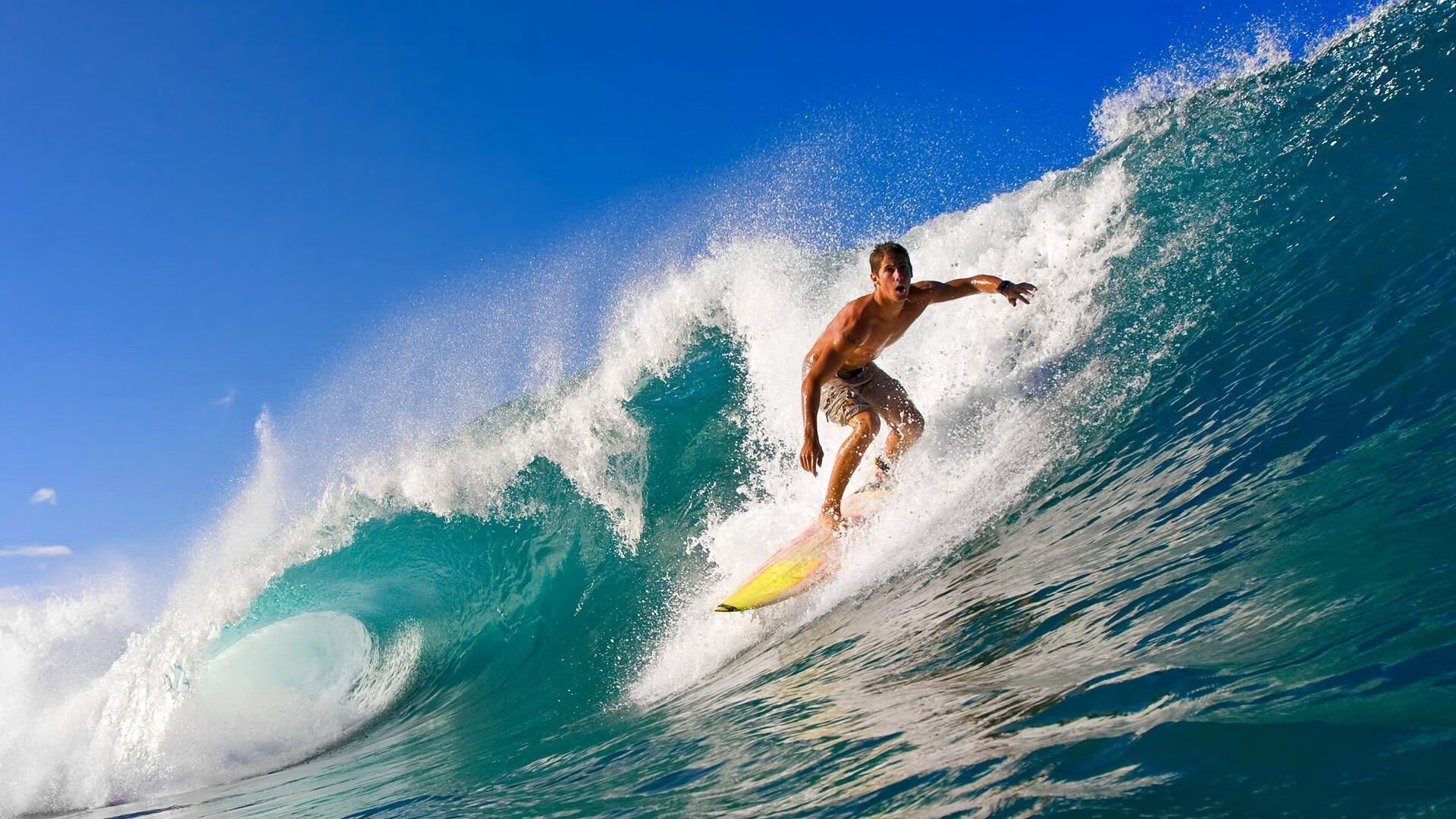 跨越东西的赛场主宰,老鹰力克广东背后的篮球全球化新叙事